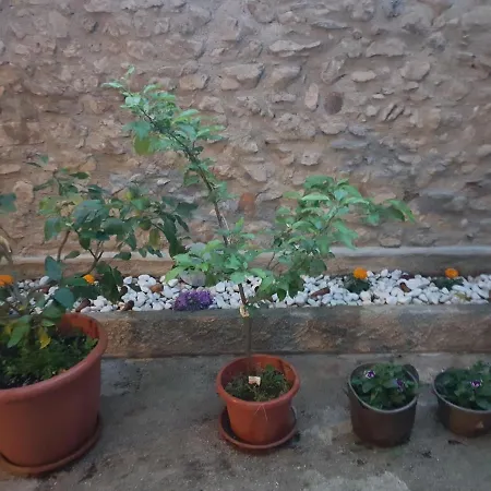 Casa Lidia 招待所