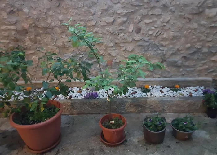 Casa Lidia Pensión